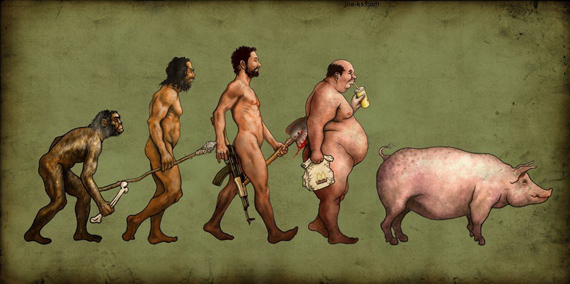 Evolution des espèces - Charles Darwin